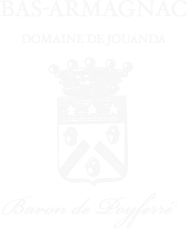 Armagnac Logo