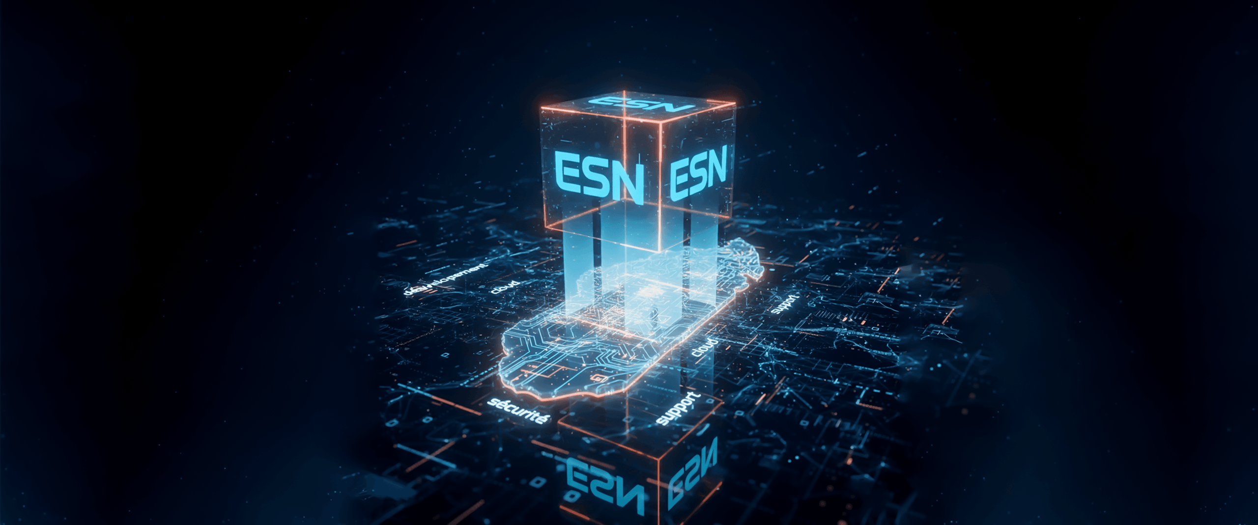 ESN Madagascar : guide complet pour comprendre leur rôle en développement informatique